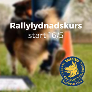 rallylydnadskurs