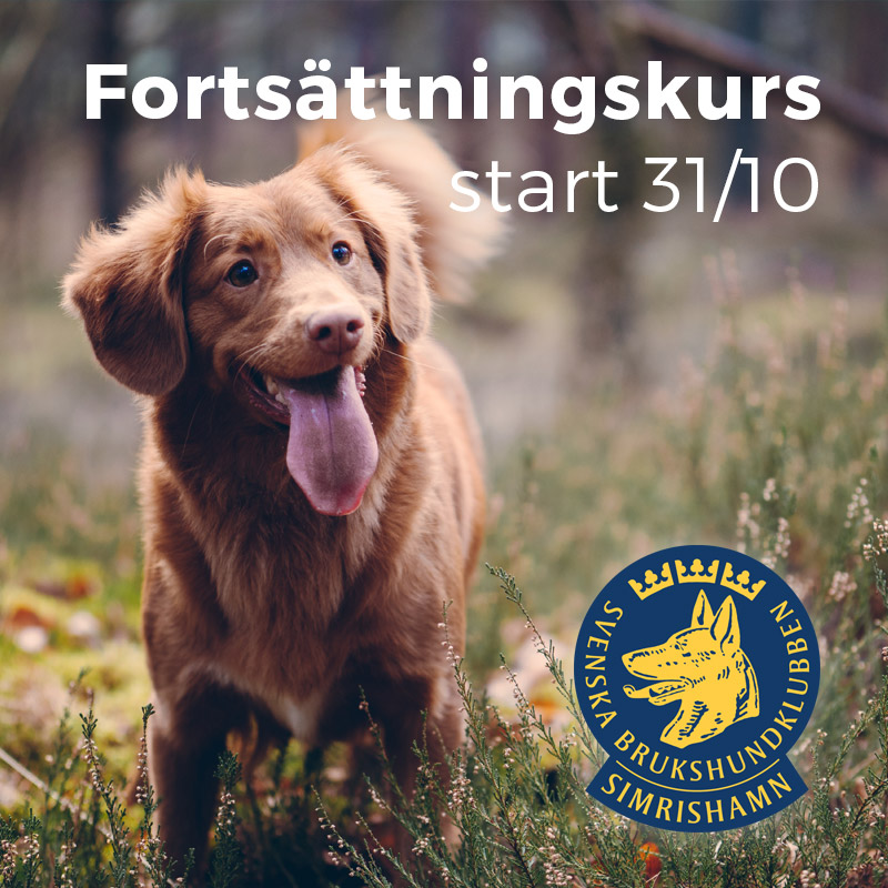 fortsättningskurs