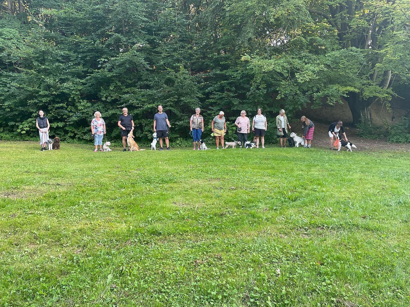 Söndagen den 2/10 bjuder vi åter igen in till stadspromenad. Vi träffas kl. 15 vid hamnkiosken. Vi går en promenad på ca 1 h med enklare övningar.
#stadspromenad #hundpromenadsimrishamn #hundpromenadösterlen #söndagspromenadmedhunden