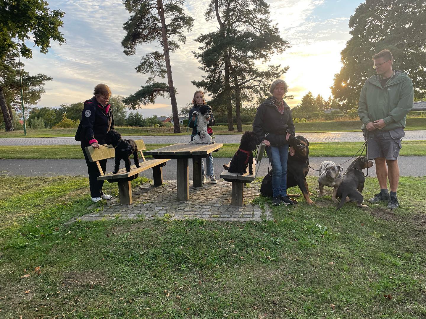 Missa inte årets sista sommarpromenad. Vi träffas kl.18 vid Tobisviksbadet nu på onsdag 21/9 & har en mysig timme tillsammans.