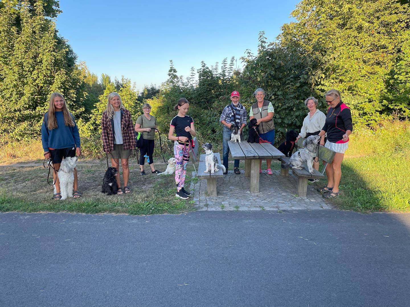 9 härliga ekipage på onsdagens promenad. Vilken fin stund vi hade tillsammans. Välkomna igen nästa vecka 31/8 kl.18 vid Tobisviksbadet.
