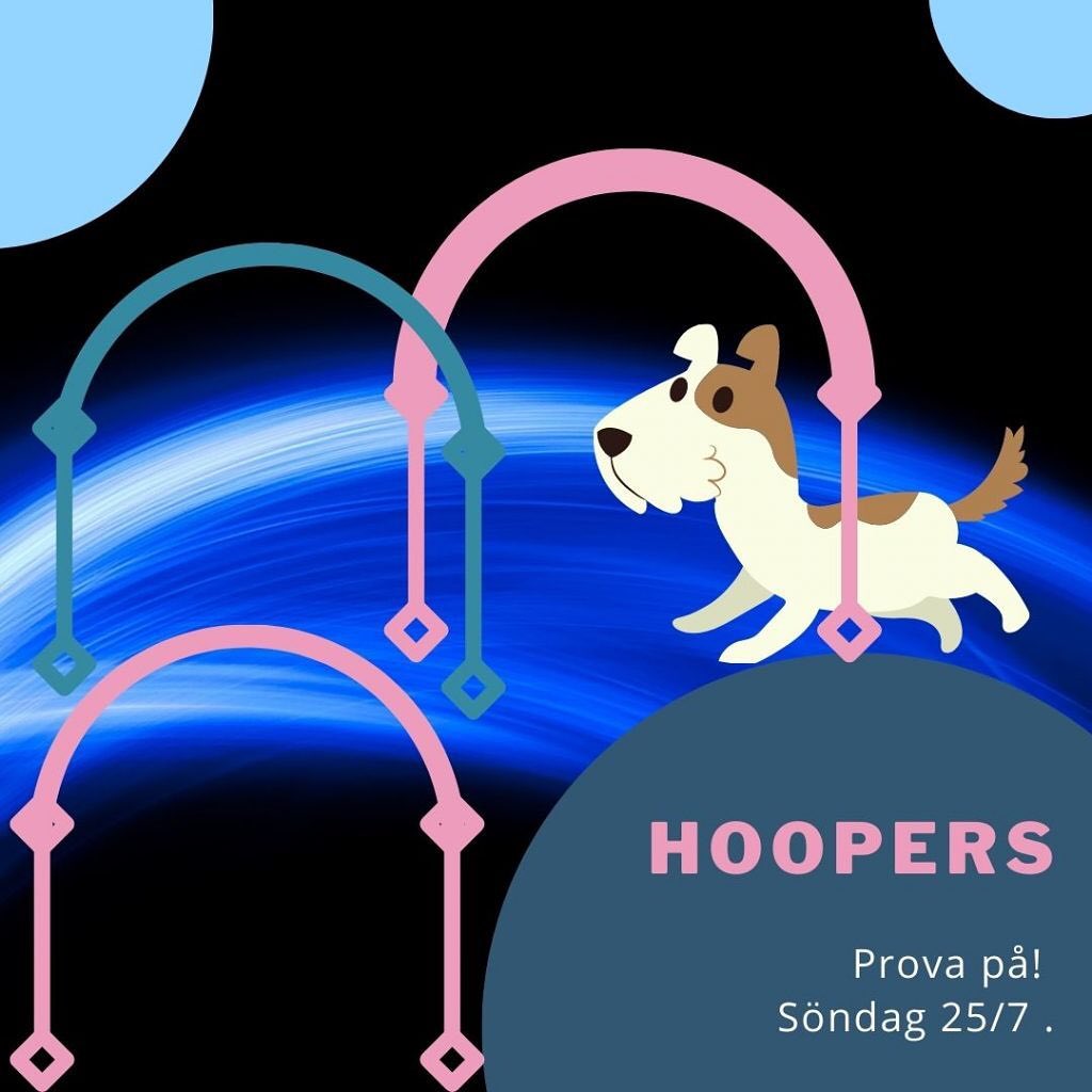 Söndagen 25:e juli kommer Eva Hall, instruktör från Sjöbo till oss på Simrishamns Bk. Eva, som har stor erfarenhet av bland annat rallylydnad och nu även engagerat sig i den nya hundsporten hoopers introducerar och låter oss prova på just det senare. Hoopers är en hundsport/hundaktivitet där målet är att bemästra en hinderbana bestående av så kallade “hoops” (bågar på engelska), tunnlar, tunnor och staket. Till skillnad från agility som kan kräva en hel del kondition från föraren och en hund som kan och får hoppa, passar hoopers även lite äldre och tyngre och kortbentare hundar, ja, precis alla raser. Hunden behöver inte hoppa och husse/matte inte springa så mycket. Däremot krävs som vanligt ett gott samarbete mellan hund och människa.
Vill du prova på hoopers?
Anmäl dig då till prova-på-dagen med Eva. Sektioner av bågar sätts upp på klubbens appellplan vid Hallagården. Prova-på-dagen är öppen för alla medlemmar i Simrishamns Bk.
Läs mer och anmäl dig på hemsidan simbk.se
#hoopers #hoopersagility #provapå #gratis #simrishamnsbrukshundklubb