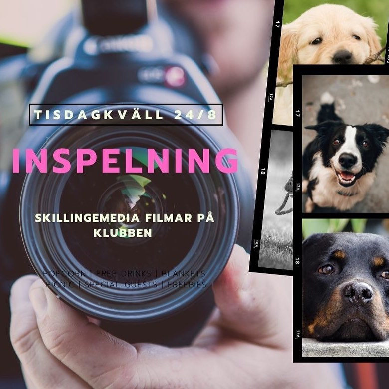 Vi behöver din hjälp 🙏🏼
med en kul grej!
Klubben ska vara med i en "presentationsfilm" som Simrishamns kommun står bakom. Tanken är att lyfta fram olika föreningar i kommunen. 24/8 kommer det lokala produktionsbolaget Skillingemedia till klubben med kameran redo.
Kom och låt din hund vara statist, stjärnskådis eller bara sådär som alltid – sööööt. 😍 Det blir roligare ju fler och olika vi blir!
#föreningsliv #simrishamn #österlen #ideellverksamhet #filminspelning #brukshundklubb #skillingemedia