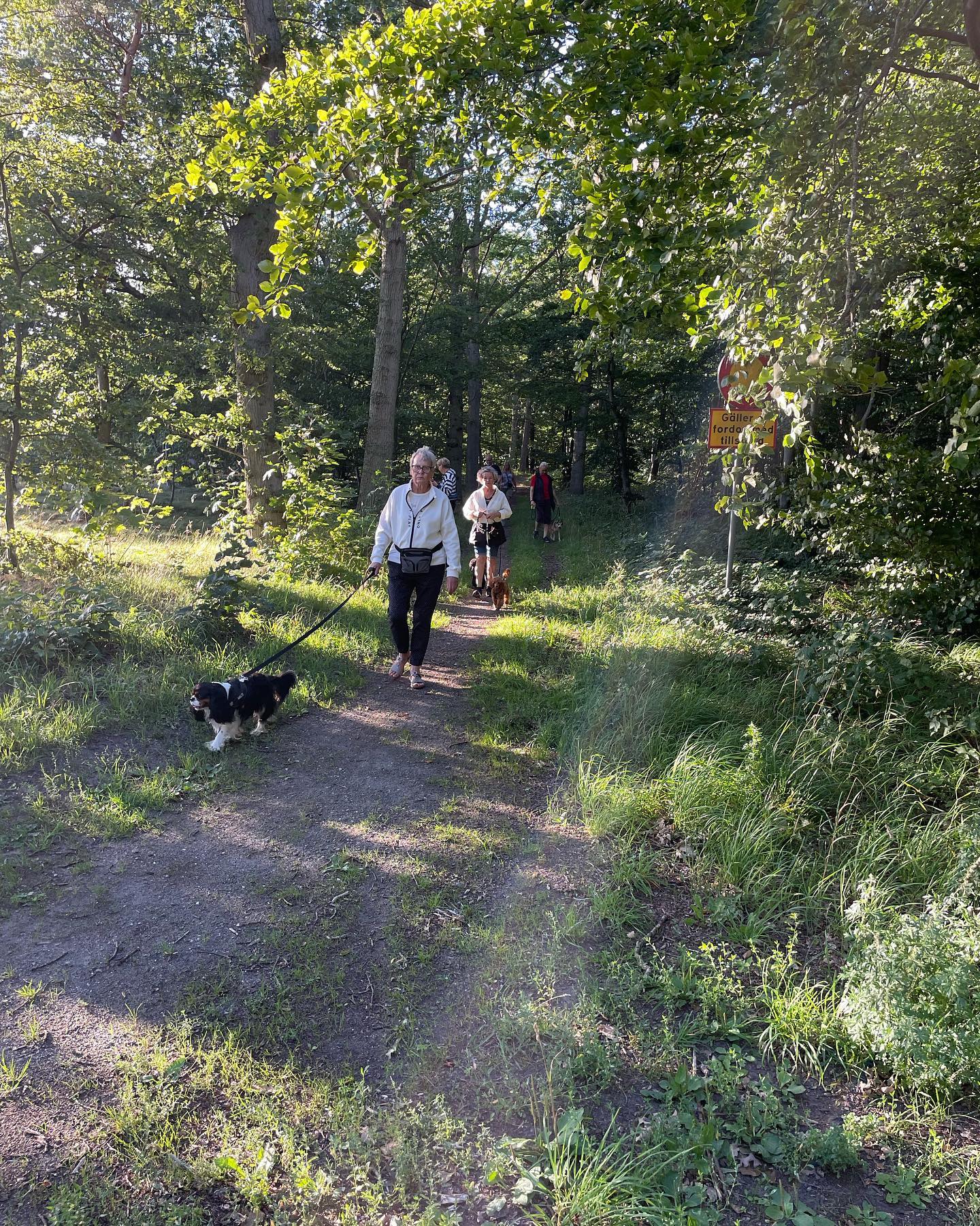 Har inte glömt Er, bara haft fullt upp idag.
Onsdagspromenad, kl.18 vid Tobisviksbadet
Nya, gamla alla är välkomna.
Vi tar en härlig promenad i Åbackarna med lite enkla övningar & massor med glädje.
Väl mött
Yvette