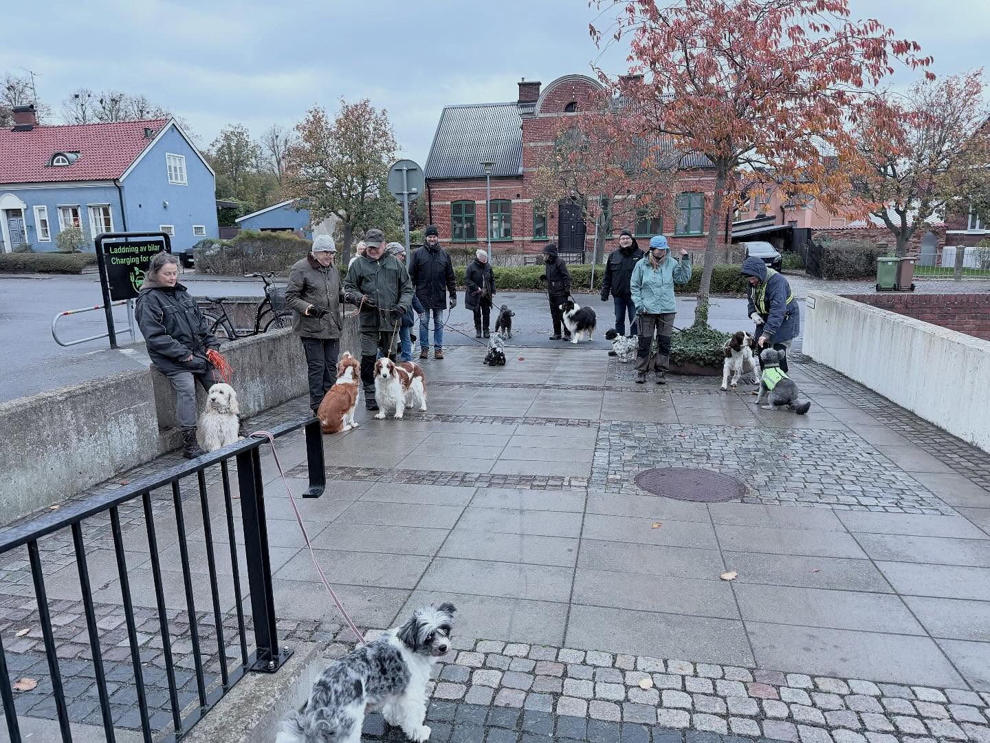 Dagens(2/11) söndagspromenad är INSTÄLLD pga sjukdom. 
Ses nästa vecka