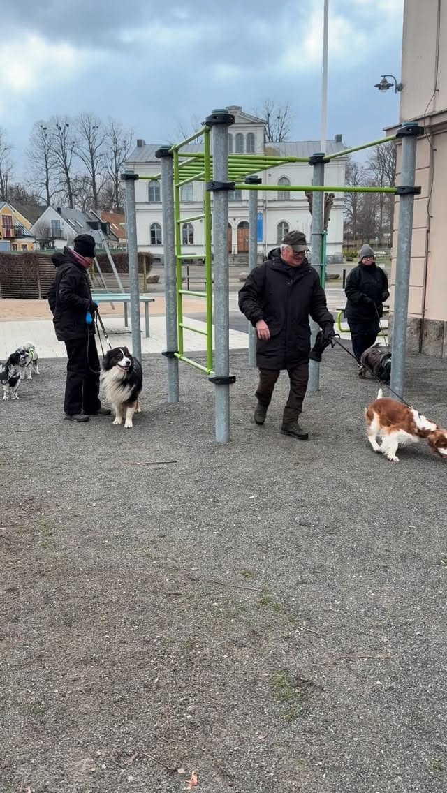 INSTÄLLT

Det är helt enkelt för kallt idag. 
Tror ni alla håller med, vi träffas 
Nästa vecka 8/2 då jag håller tummarna på att vinden mojnat. 

Väl Mött
//Yvette🐾🐾